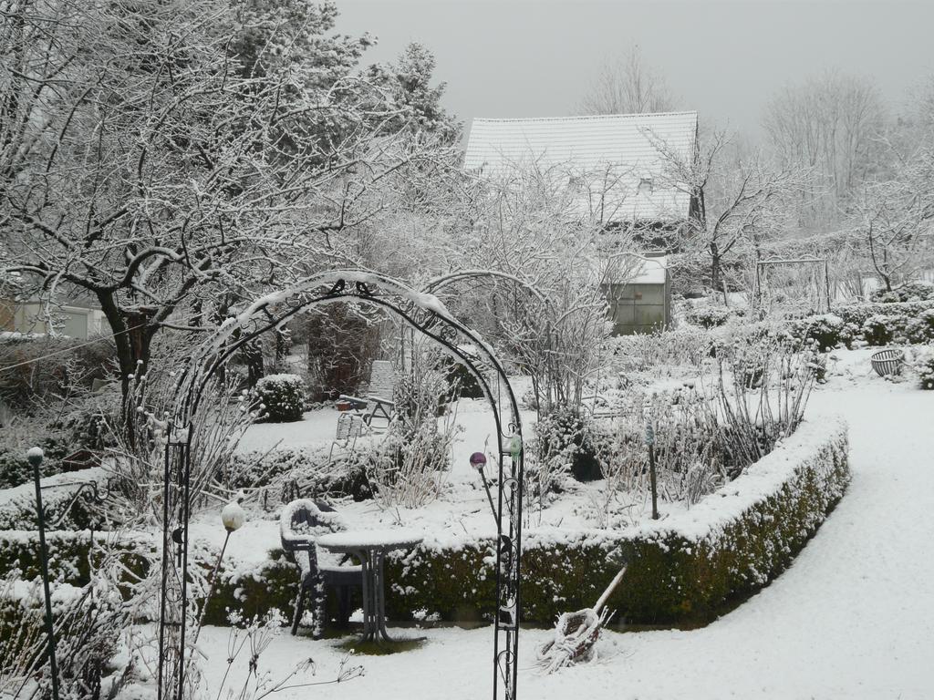 Haus Mit Aussicht Horn-Bad Meinberg Exterior foto