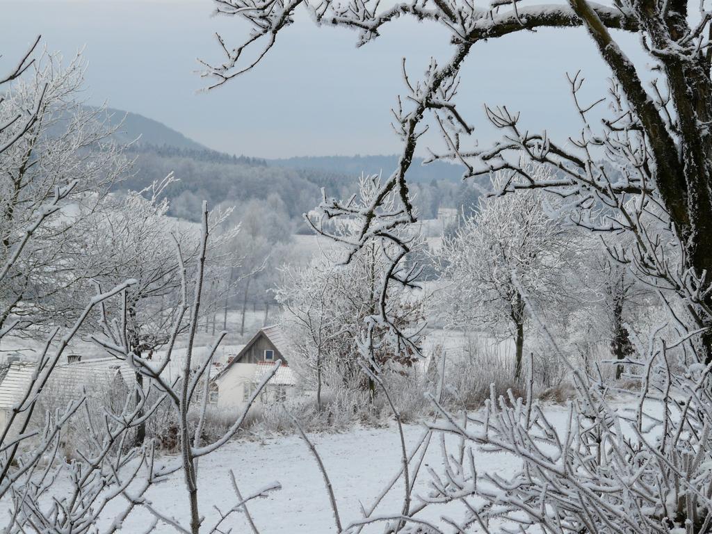 Haus Mit Aussicht Horn-Bad Meinberg Exterior foto